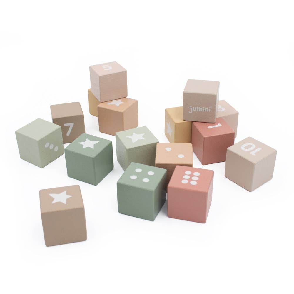 Number Block Set (Case of 3)
